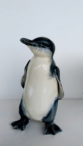 Little Blue Penguin