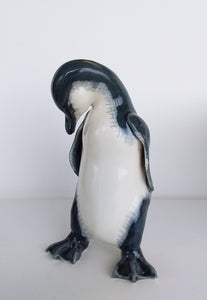 Little Blue Penguin