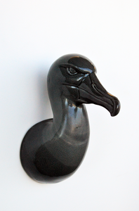 Albatross Head