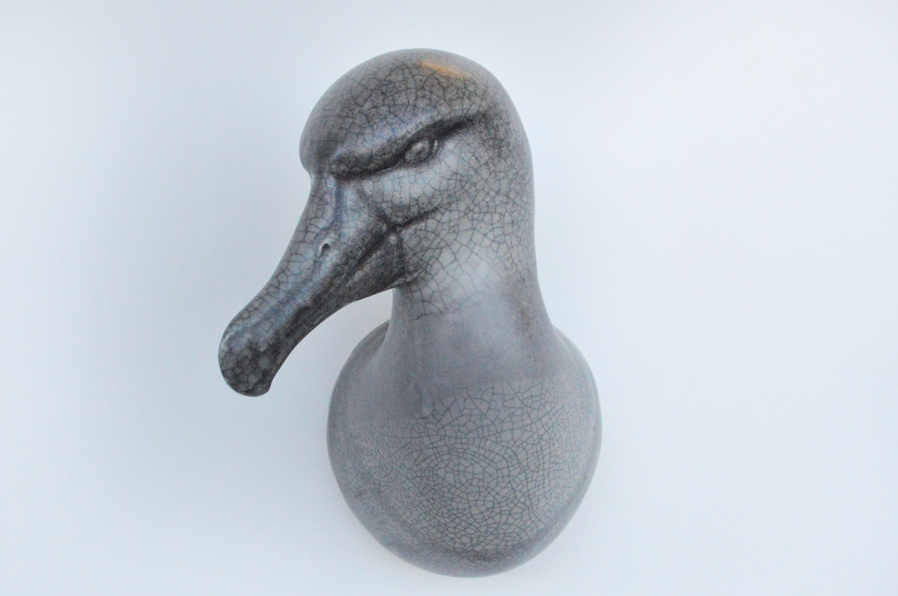 Albatross Head
