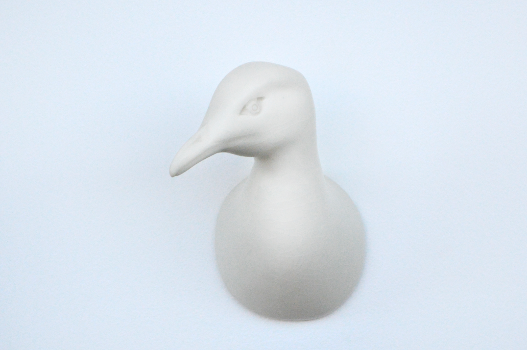 Seagull Head
