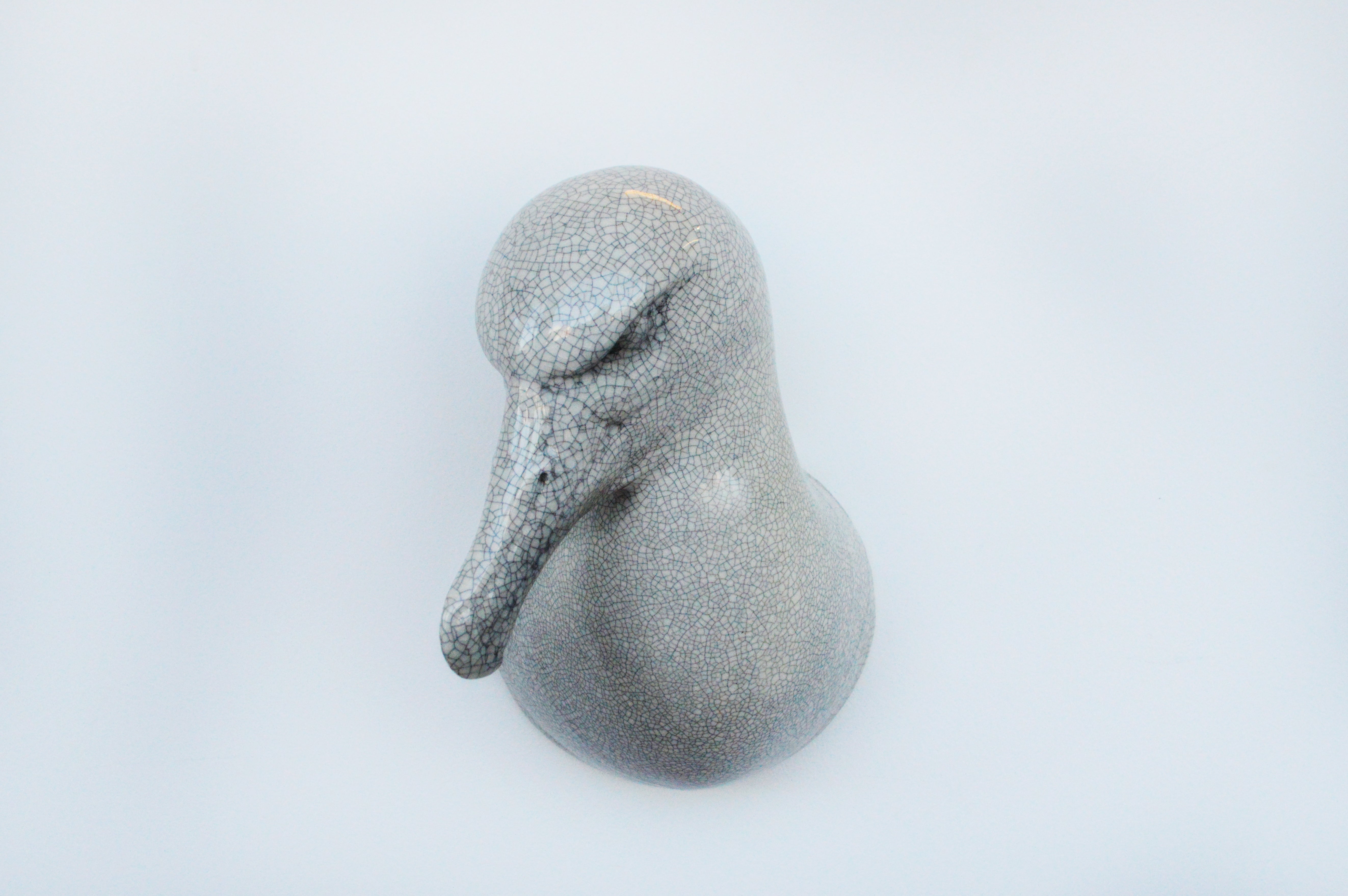 Albatross Head