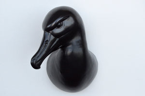 Albatross Head